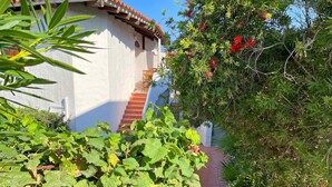 A narrow pathway leading to a building with a tiled roof and a white exterior wall. - Villa Rosa dei Venti (Valledoria)