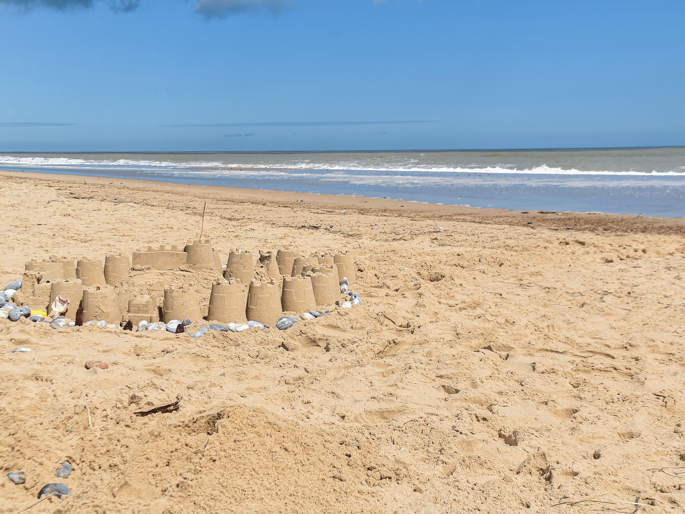 صيد الأسماك