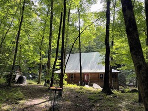 A rustic cabin surrounded by tall trees in a forest. - Creekside log cabin near Lake Chatuge & Blue Ridge (Hayesville)