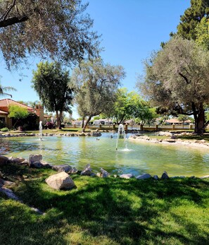 Overnattingsstedets uteområder