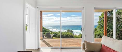 Televisión y libros