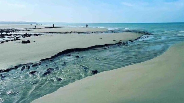 Una playa con cielos despejados y aguas tranquilas.