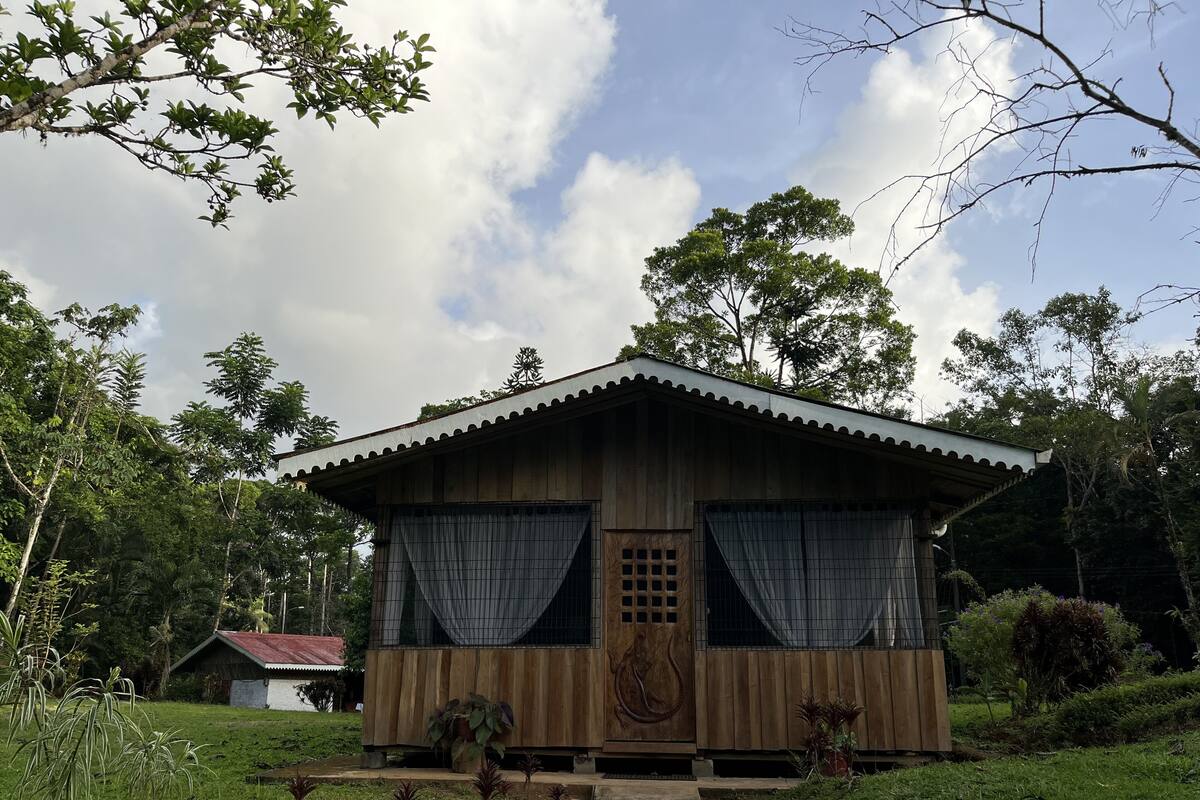 A wooden cabin with a peaked roof, large windows with curtains, and a front door with a decorative panel.