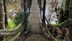 A wooden bridge leading to a small pavilion in a natural setting. - El Zota Hotel (Rita)