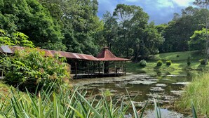 A rustic wooden pavilion with a thatched roof over a pond, surrounded by lush greenery and trees. - El Zota Hotel (Rita)