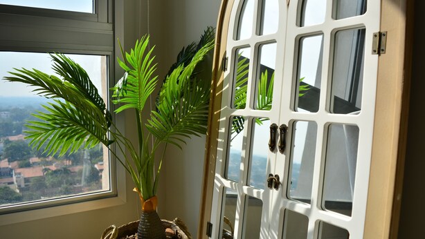 Una habitación con un ventanal grande, una planta en maceta y una puerta blanca en arco.