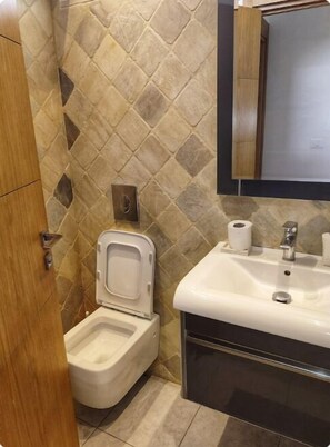Hair dryer, towels, toilet paper