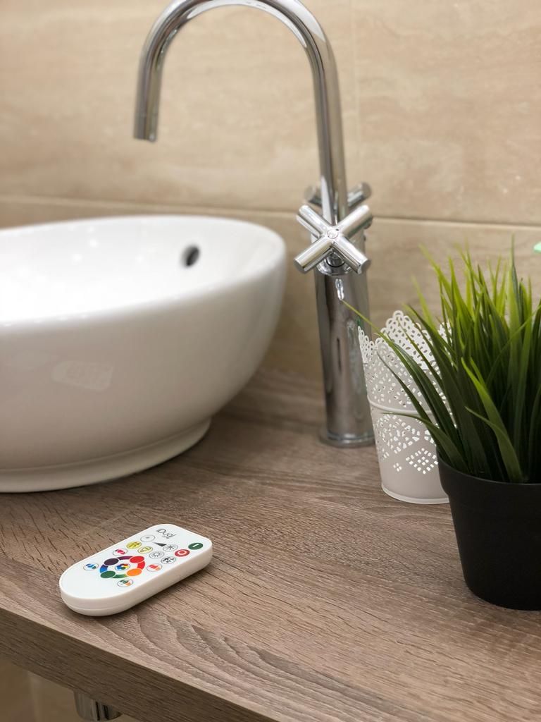 A bathroom sink with a modern faucet, a potted plant, and a remote control on the countertop.