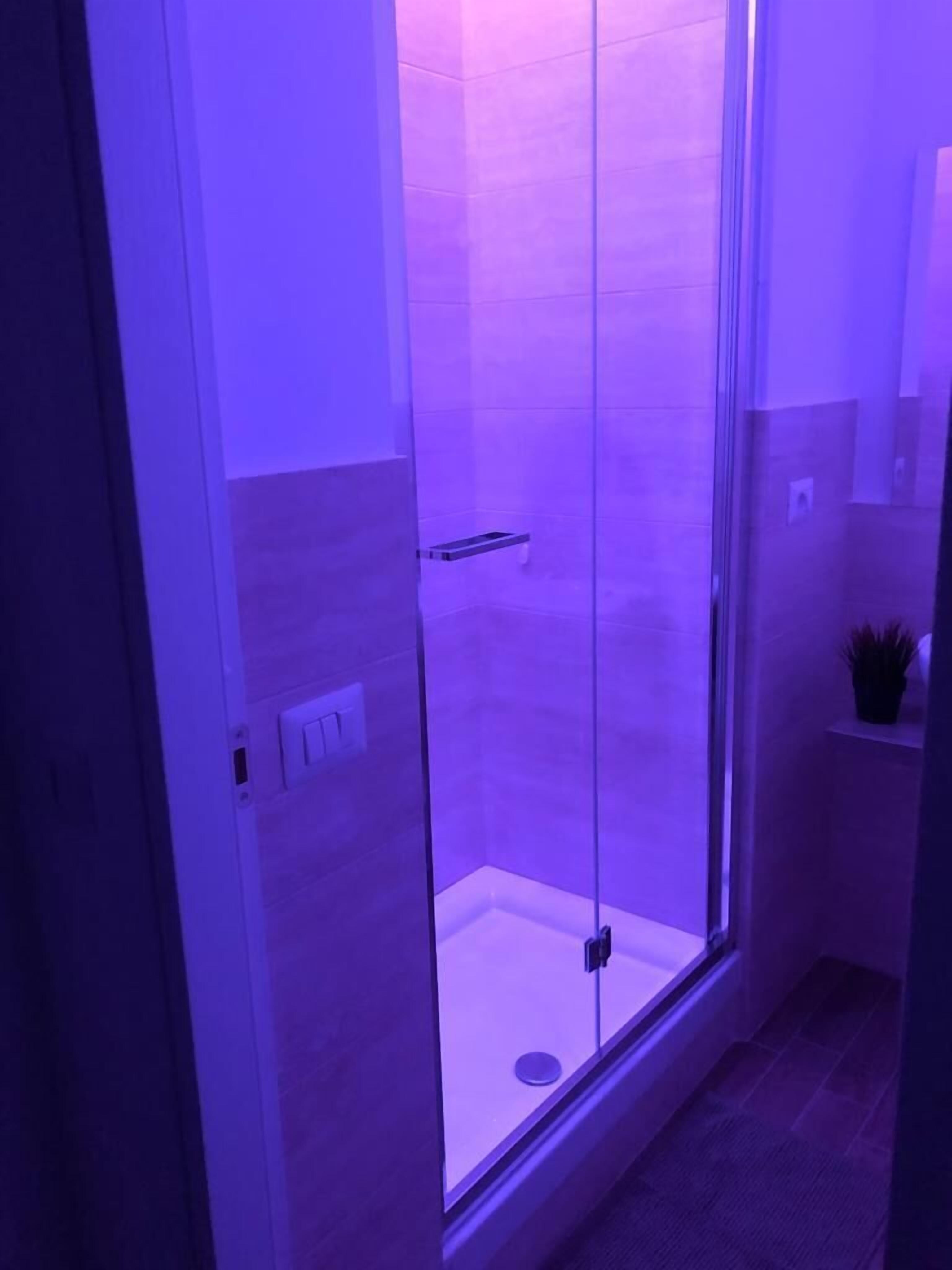 Et brusebad med glasvægge, flisebeklædt væg og en lille hylde med en potteplante.