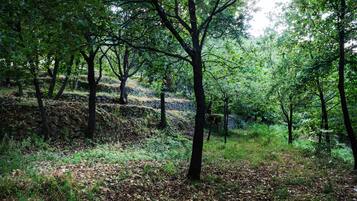 Hair dryer, bidet, towels, soap