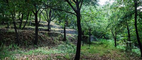 Secador de cabelo, bidê, toalhas de banho, sabonete