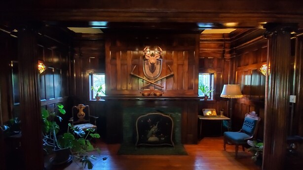 A wooden interior with a fireplace, a framed picture, and potted plants. - Deluxe Queen with Park View (Laurium)