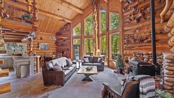 TV connectée, cheminée, espaces bureaux