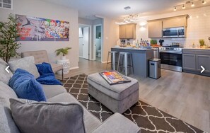 Living area - Beautiful Contemporary Suite #12 (Lawton)