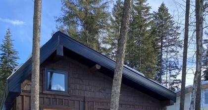 Aspen House, the "not so tiny" house!