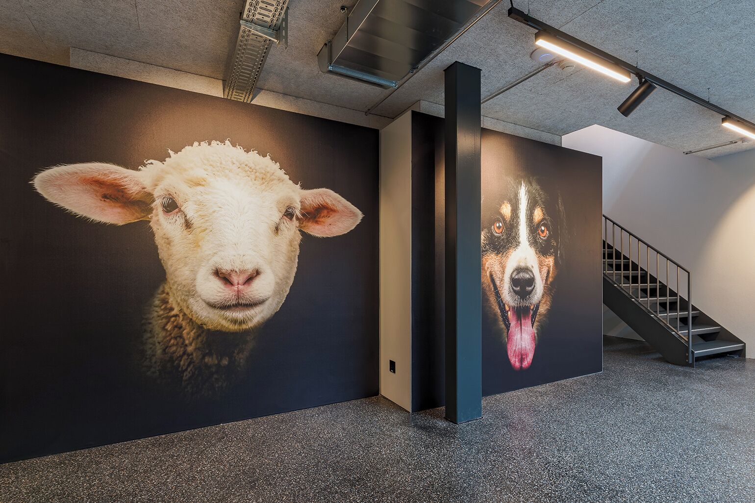 A hallway with a large wall mural of a sheep and a dog, a staircase, and a ceiling with exposed beams and lighting fixtures.