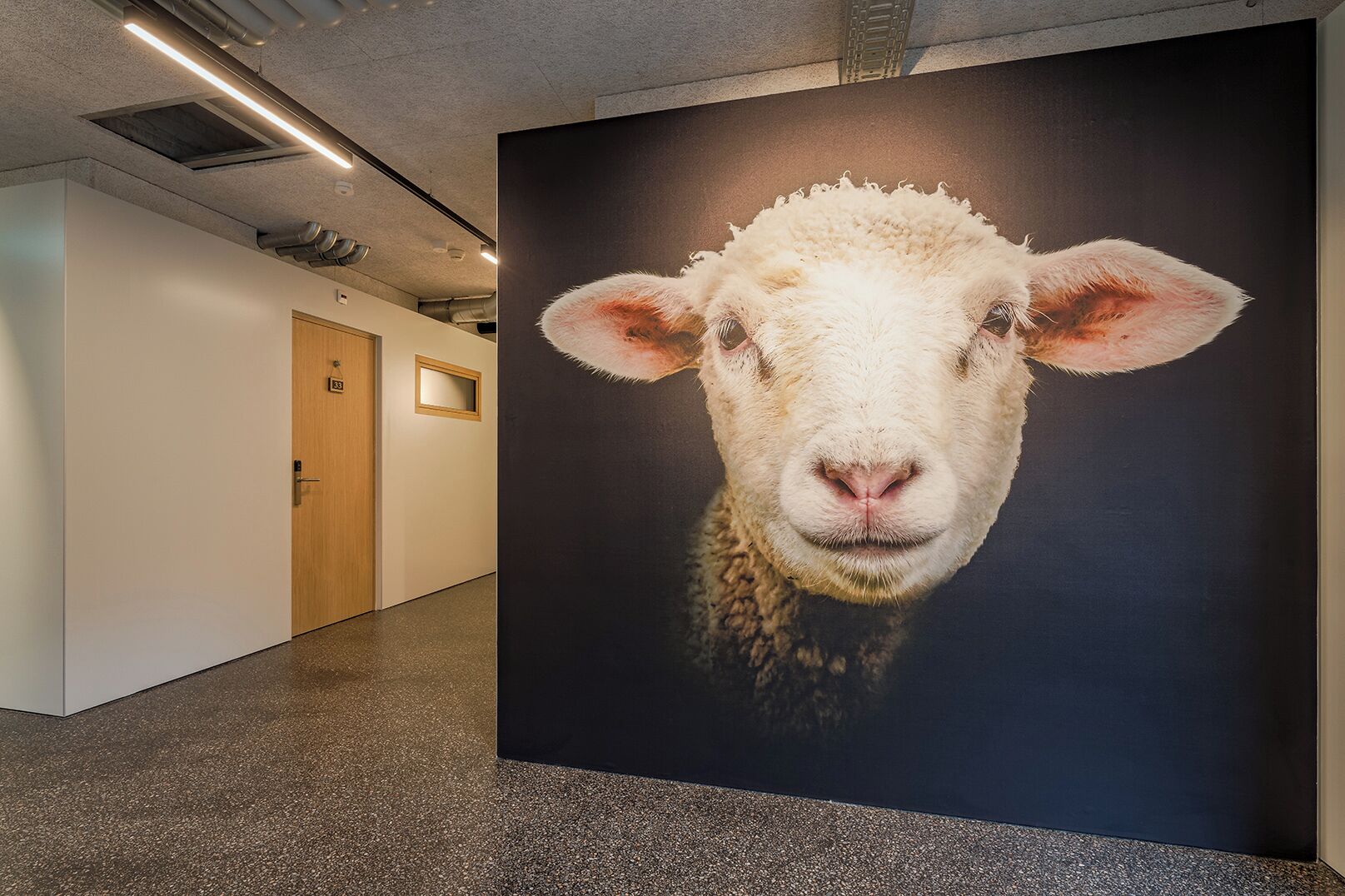Un couloir orné d’un grand tableau représentant le visage d’un mouton.