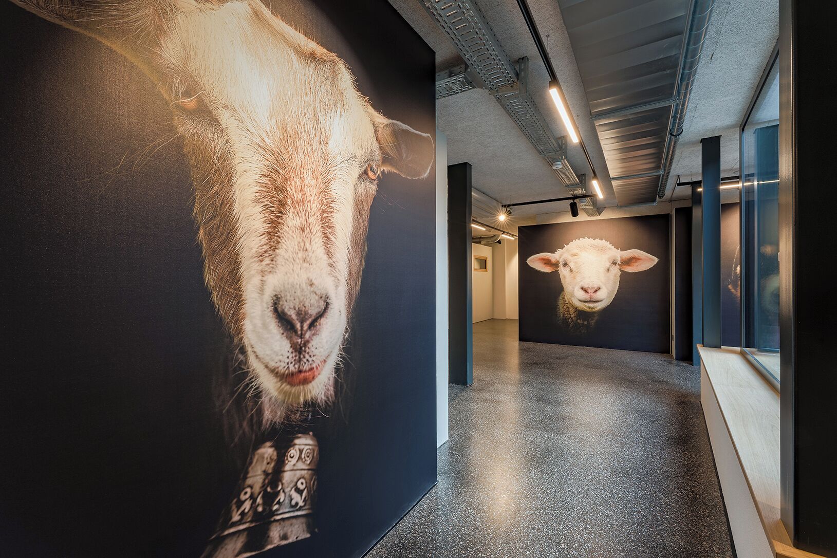 Eenvoudige tweepersoonskamer | Geluiddichte muren, gratis wifi