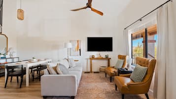 Smart TV, fireplace, books, computer monitors