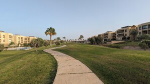 Un sendero que atraviesa un césped cuidado, con palmeras y una zona de piscina al fondo.