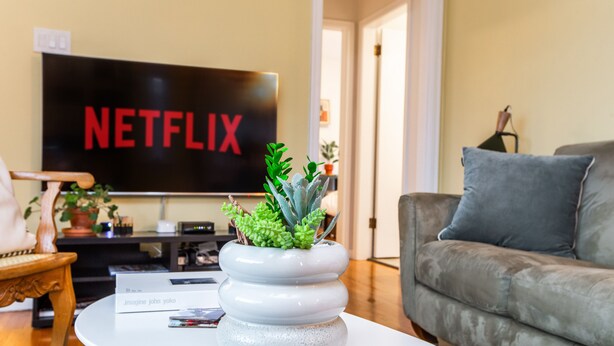 Olohuoneessa on litteänäyttöinen televisio, jossa näkyy Netflixin logo, harmaa sohva ja valkoinen maljakko, jossa on vihreitä kasveja.