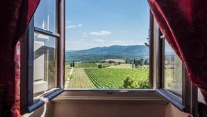 Ein Fenster mit Blick auf ein Weinberg und ferne Berge.