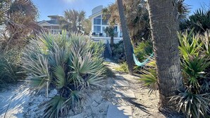 A pathway leading to a modern house surrounded by palm trees and desert plants.