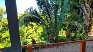 A garden with various tropical plants and a gravel path. - Tiny Condo PB 5 at Vista Encantada! 1 Bedroom, kitchen, pool, incredible views!  (El Divisadero)