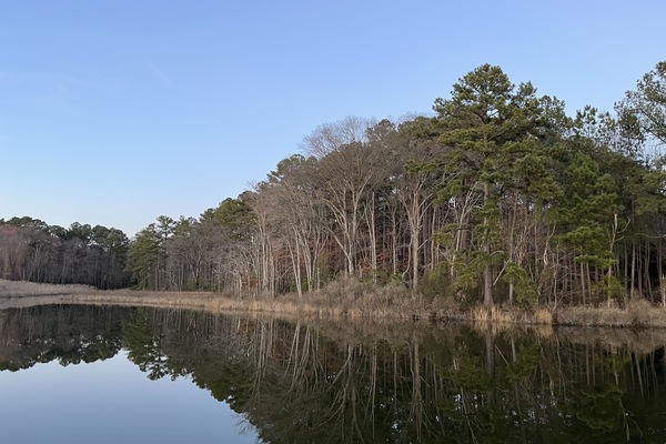 St. Patrick's Creek