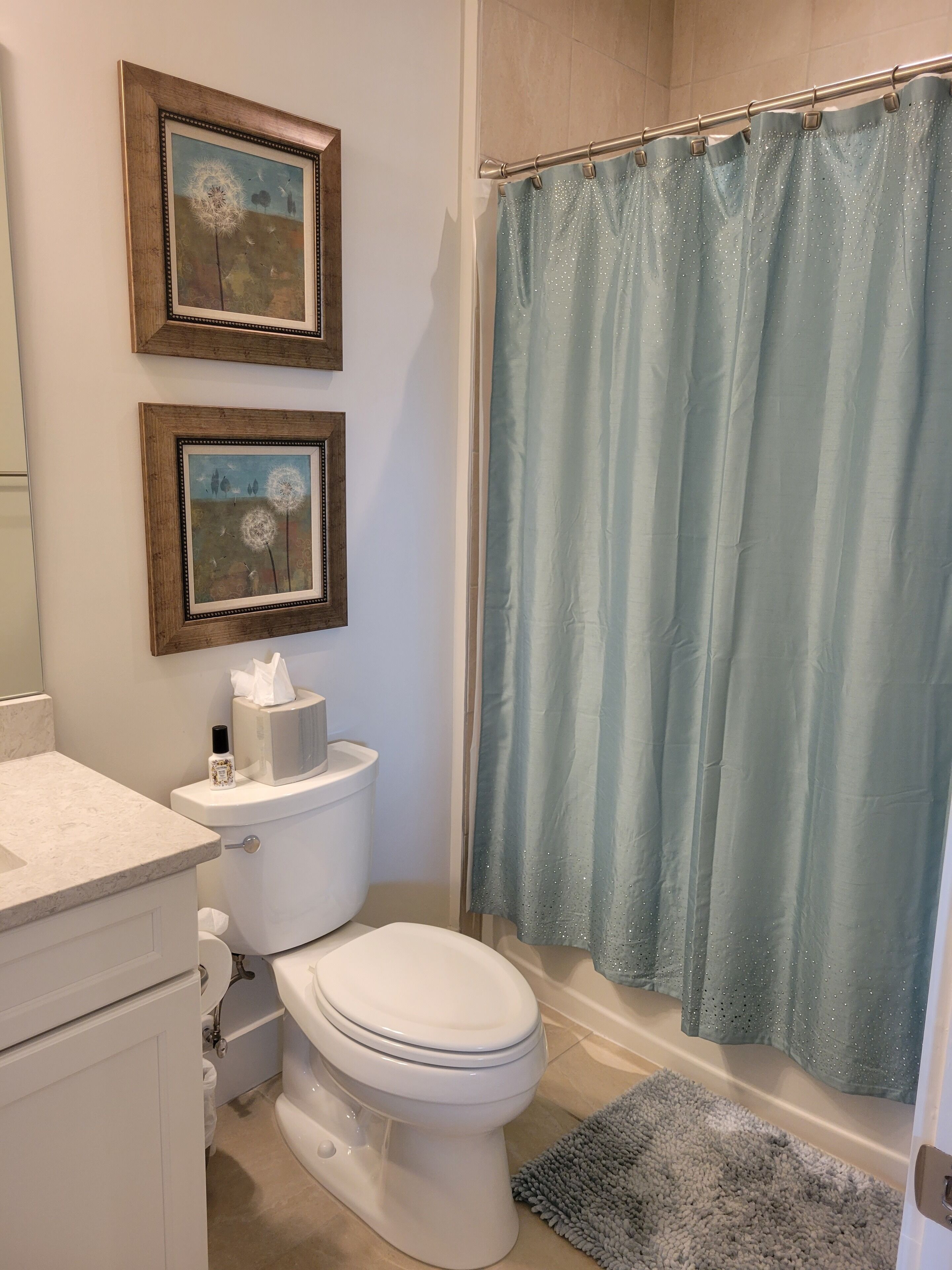 A bathroom with a toilet, a sink, a framed picture on the wall, and a shower curtain.