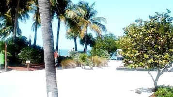 Chaises longues, serviettes de plage