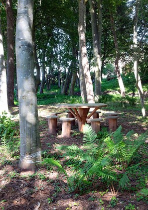Una mesa de picnic de madera rodeada de árboles en un bosque.