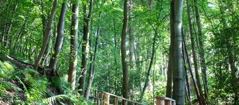 A beautifully renovated rural retreat for families and groups set in extensive grounds.