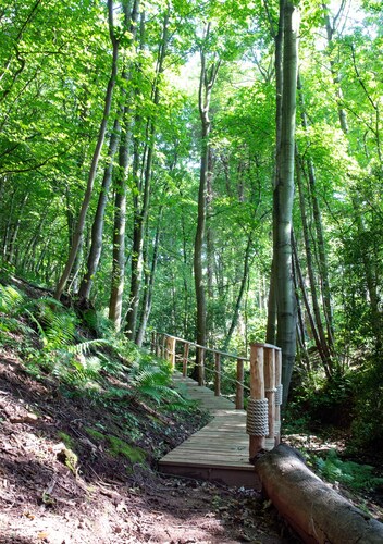 Idyllic setting for large family get-togethers, groups of friends, and corporate retreats.