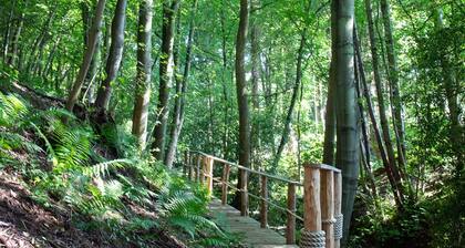 Idyllic setting for large family get-togethers, groups of friends, and corporate retreats.