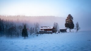 A snow-covered landscape with a wooden cabin and a large evergreen tree. - Holiday Home 'Gîte La Ramée' with Mountain View, Private Terrace and Wi-Fi (BAN SUR MEURTHE CLEFCY)