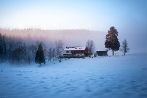 Esterni