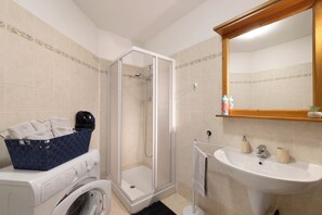 Shower, hair dryer, towels