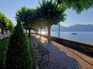 Un sendero pavimentado con bancos, árboles y vistas a un lago con barcos.