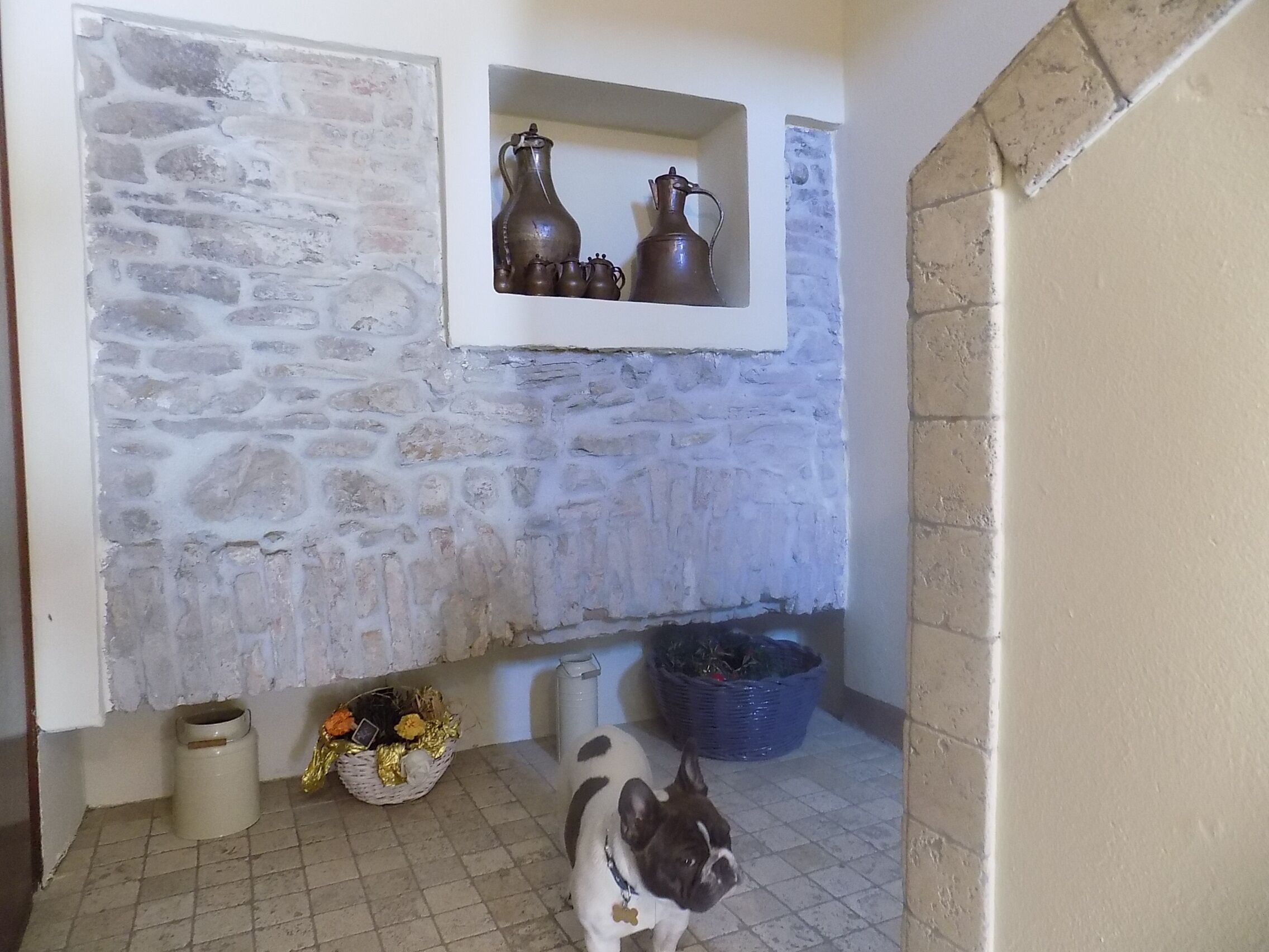 Ein Zimmer mit Steingemäuer, einer kleinen Regal mit Keramik, einem Korb mit Blumen, einem Mülleimer und einem Hund.