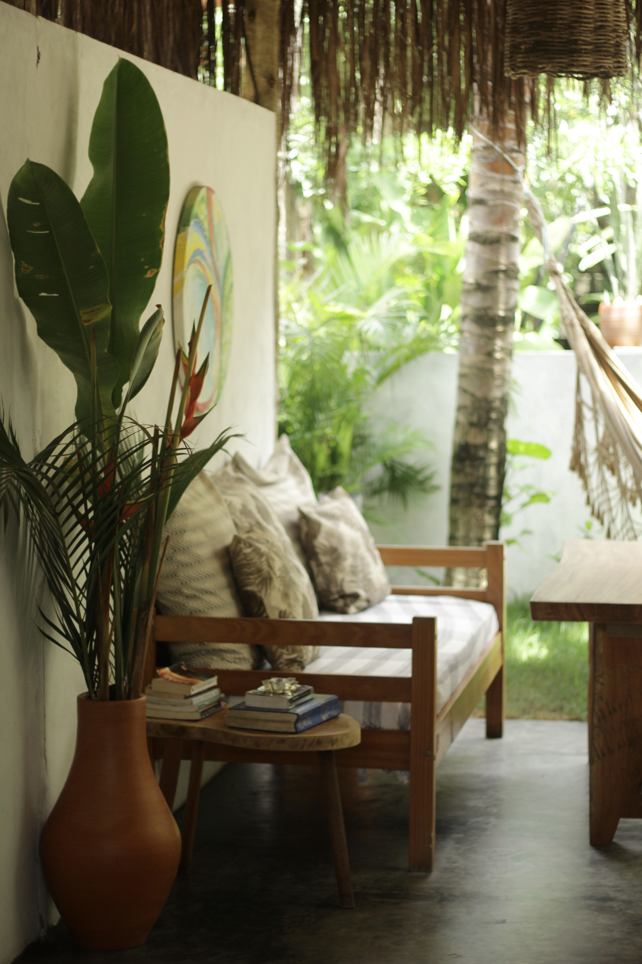 Una habitación acogedora con un banco de madera, una planta en maceta y una hamaca.