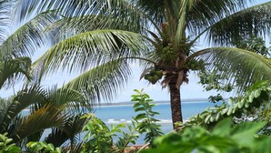A tropical beach with palm trees and a view of the ocean. - Pousada Nascente do Sol (Cairu)