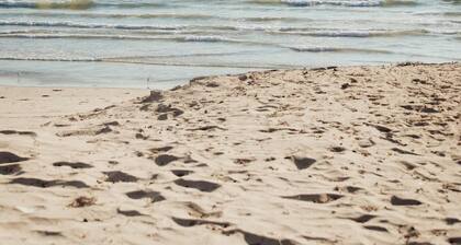 Blvd Sunset. . . Beachfront Condos