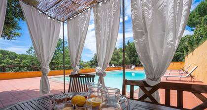 Stunning private villa for 12 people with private pool, WIFI, TV, patio and pets allowed