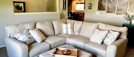 Smart TV, chimenea, libros y videoteca