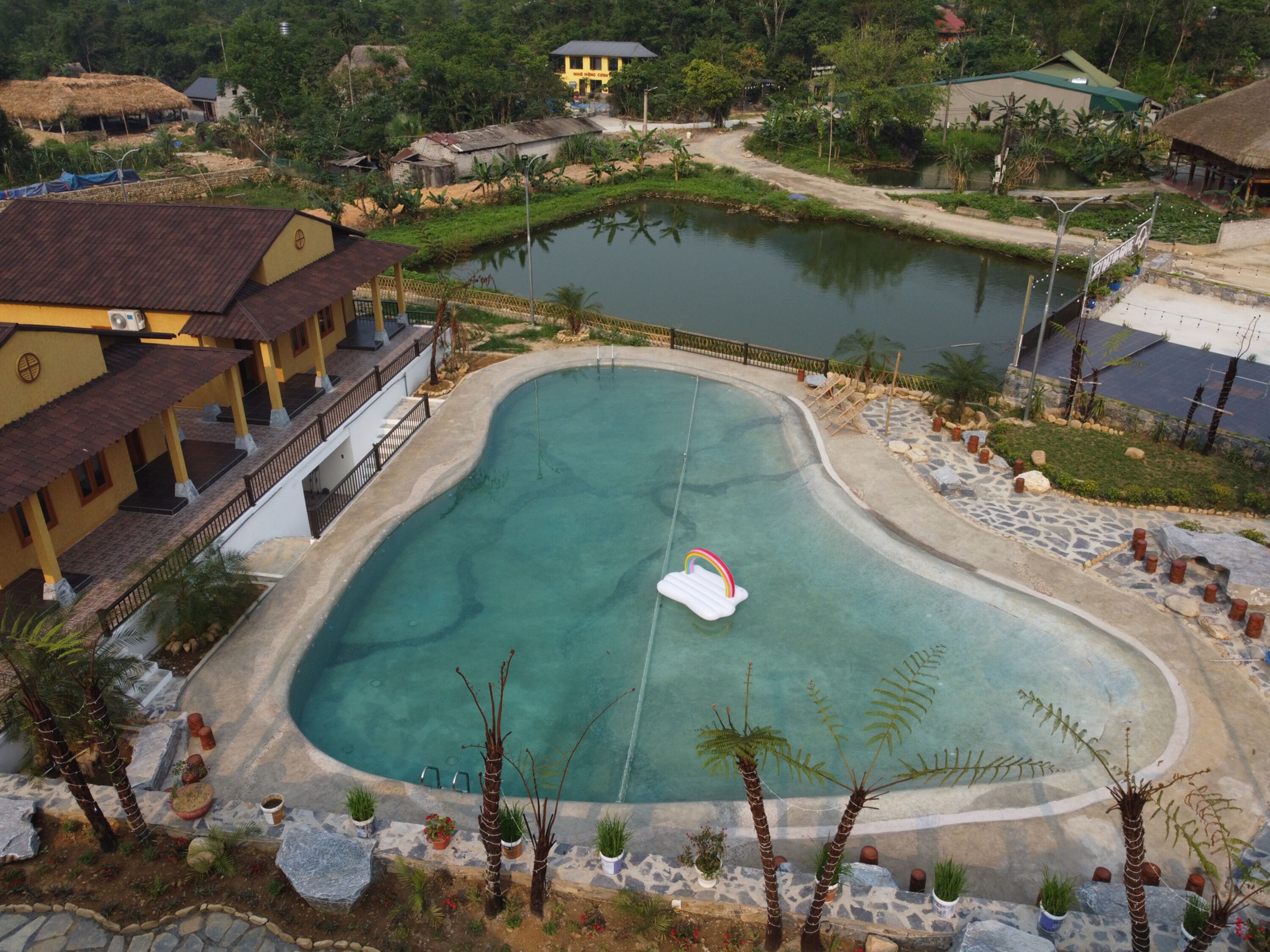 A swimming pool with a rainbow float, surrounded by palm trees and potted plants.