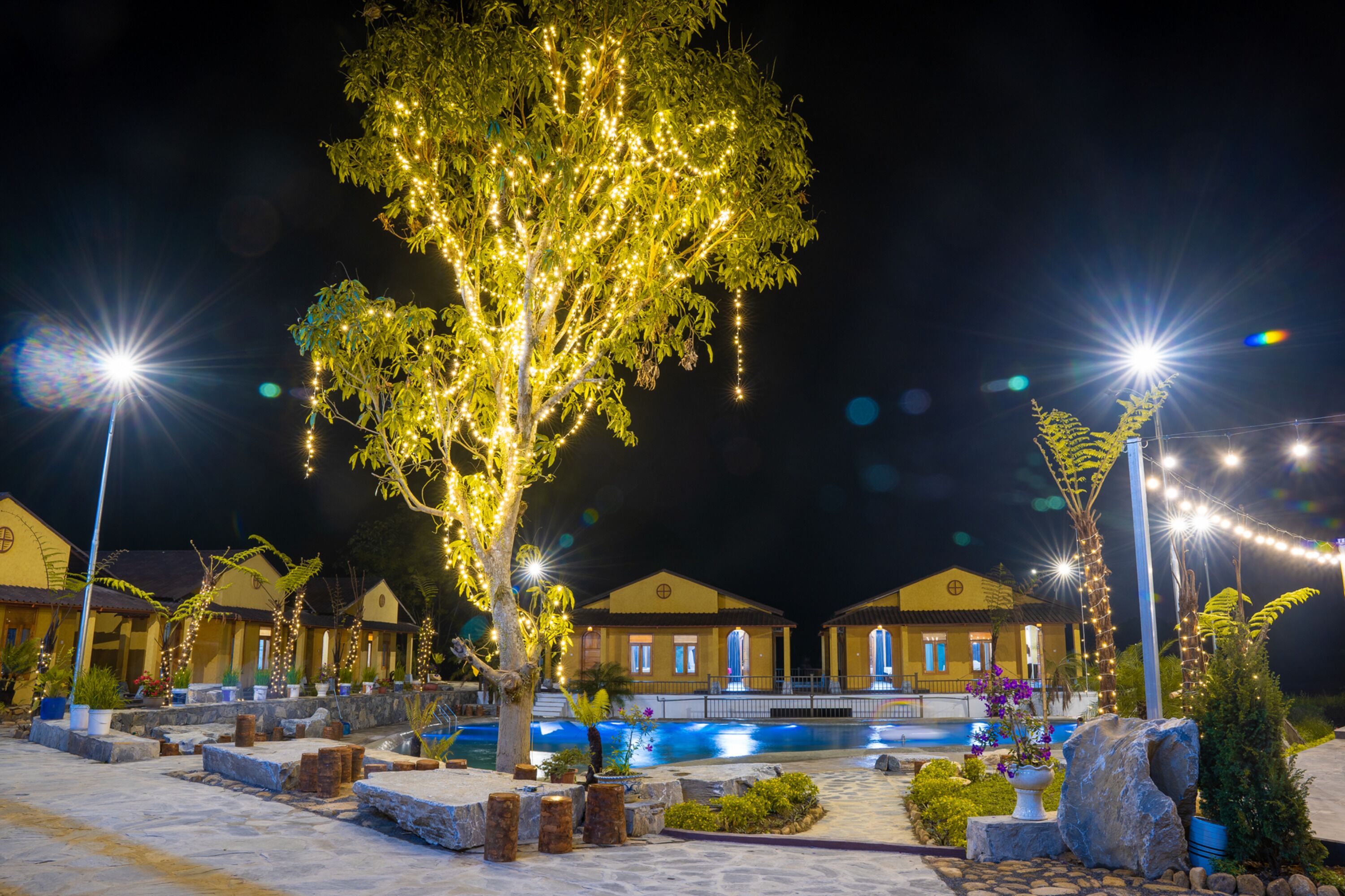 Um hotel com piscina, luzes de corda e uma grande árvore.