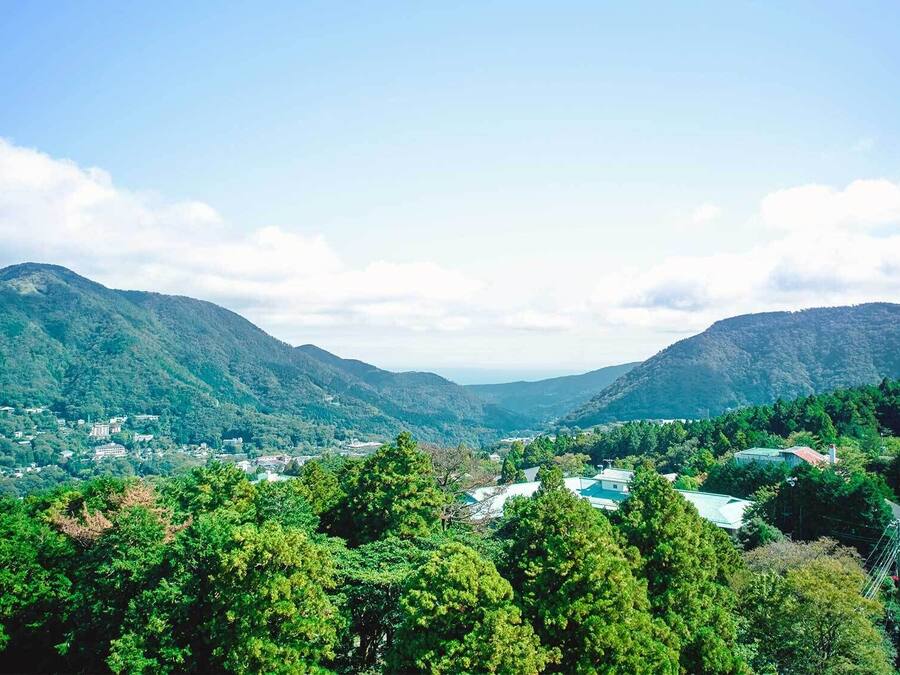 View from property
