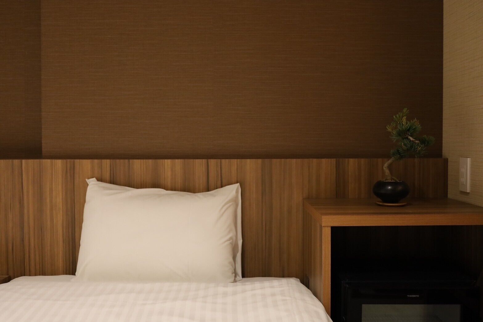 A hotel room with a bed, a bedside table with a plant, and a dark-colored TV stand.