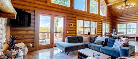TV, fireplace, books, stereo